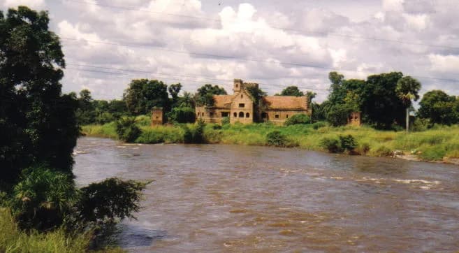 Dungu