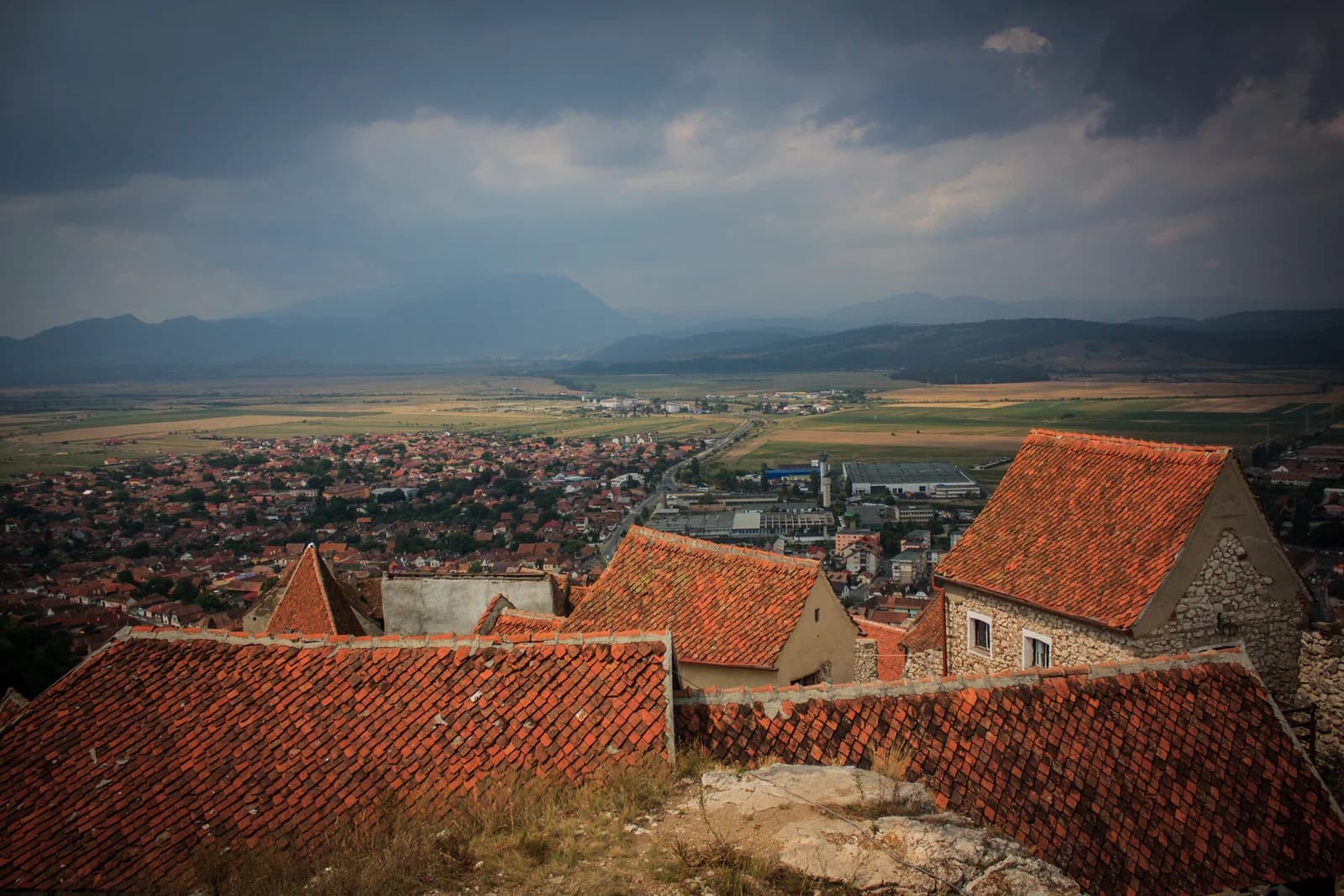 Rosenau