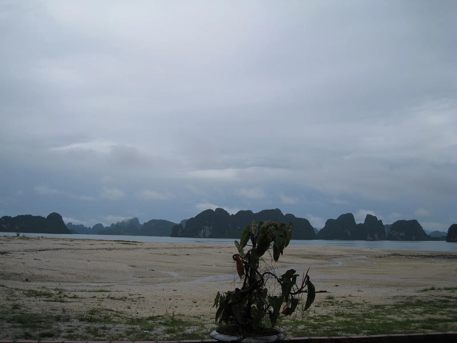 Vân Đồn