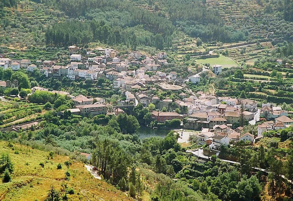 Avô