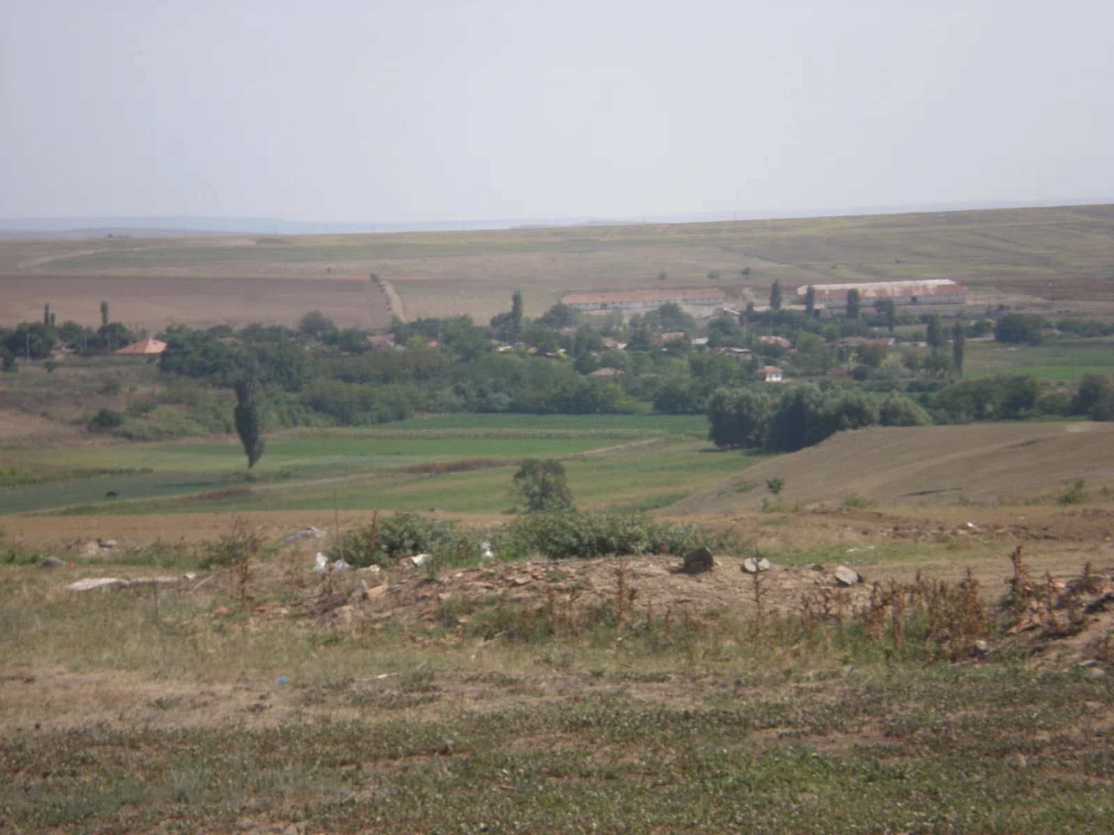 Beidaud