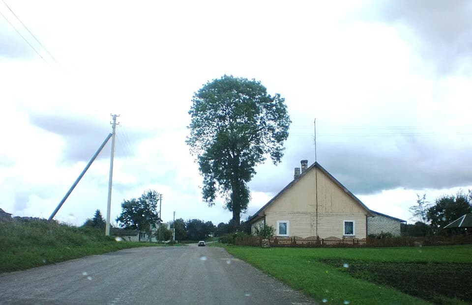 Vilkiautinis