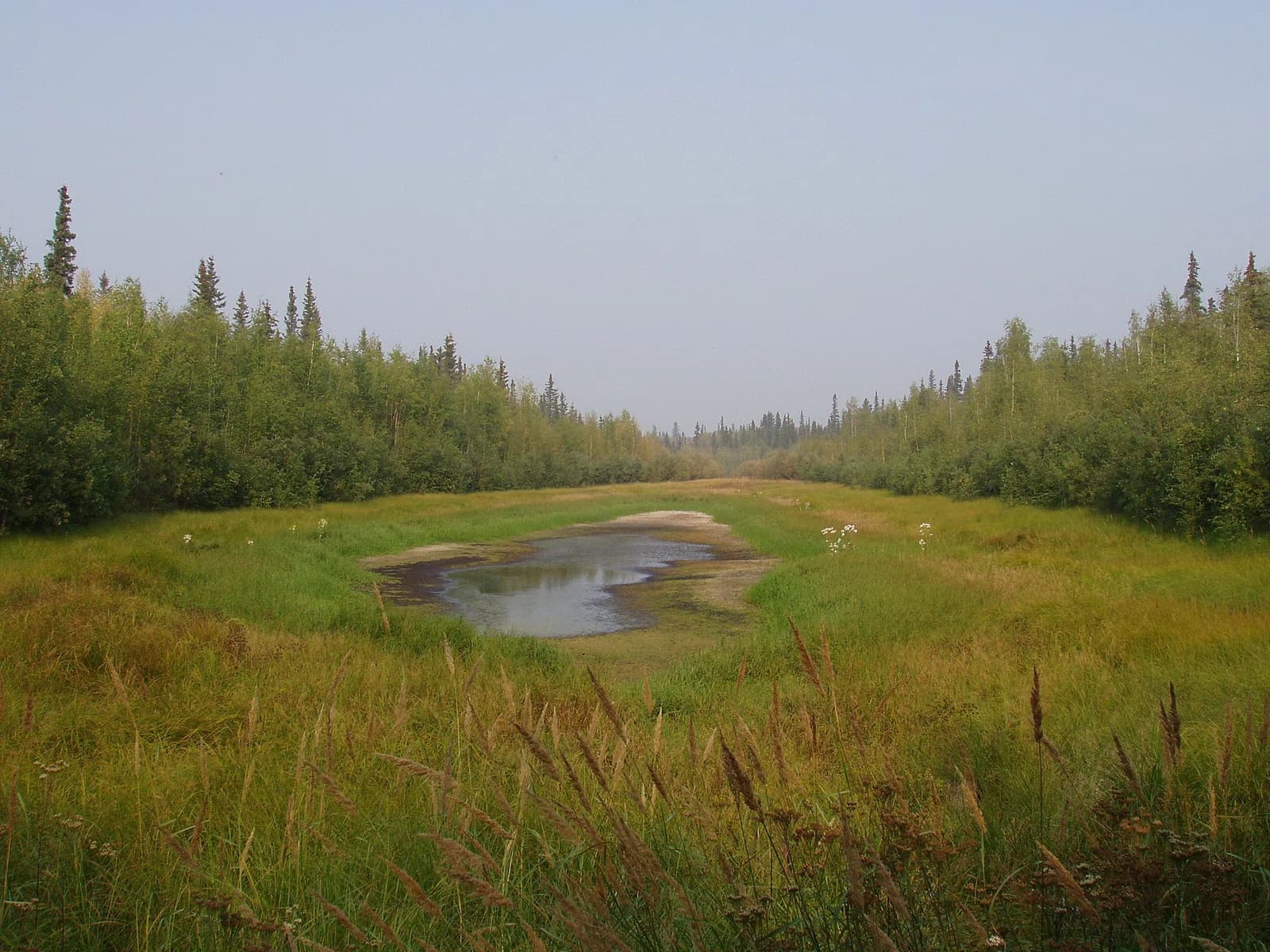Fort Yukon