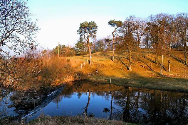Waterfoot