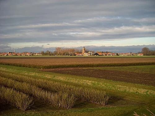 Baarland