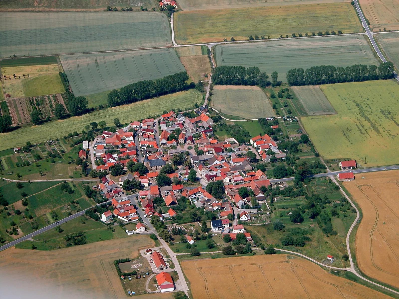 Backleben