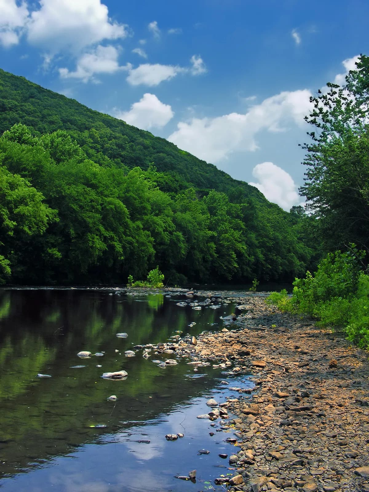 West Brunswick Township
