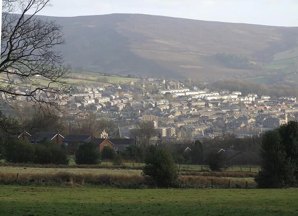 Whitfield