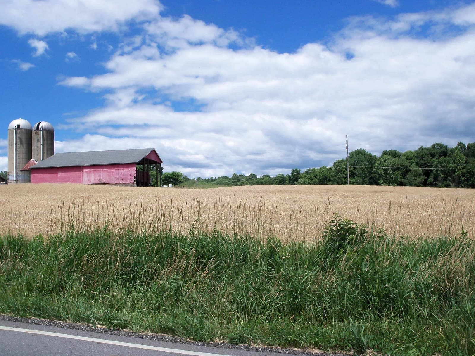 Windham Township