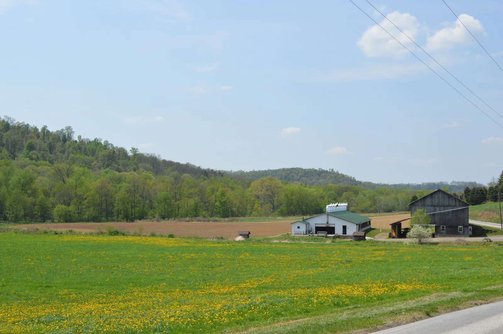West Mahoning Township