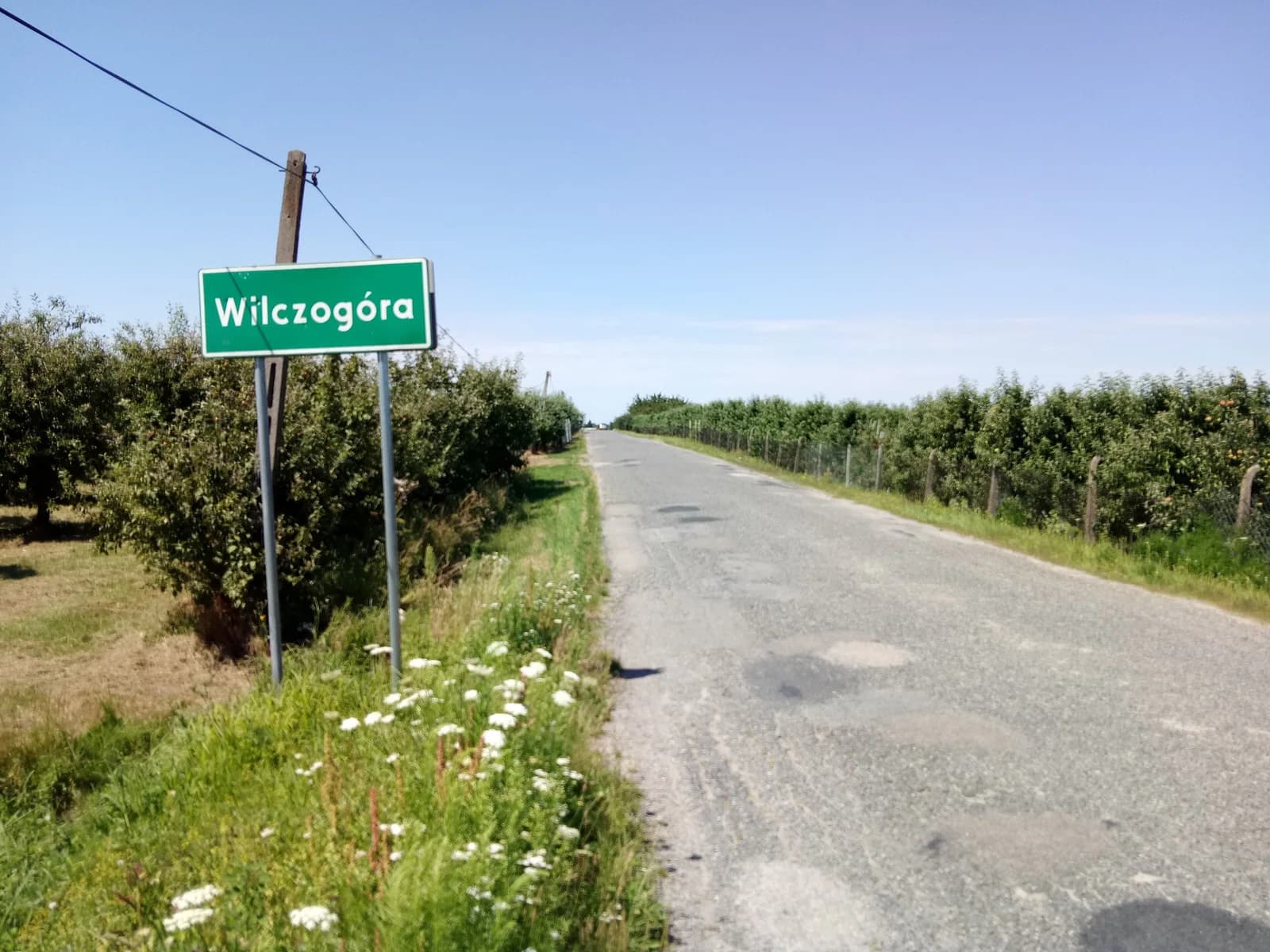 Wilczogóra