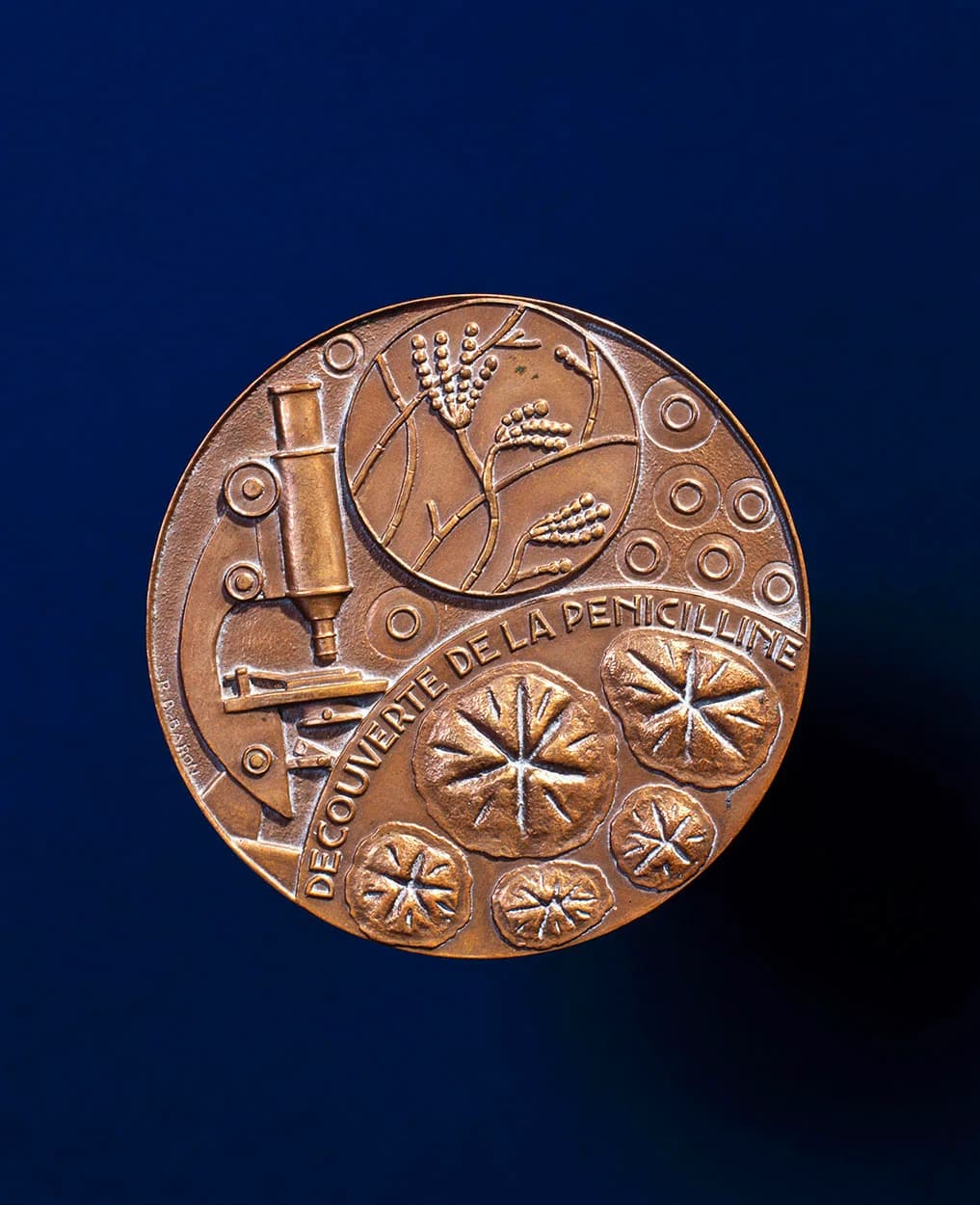 Nobel Prize in Physiology or Medicine