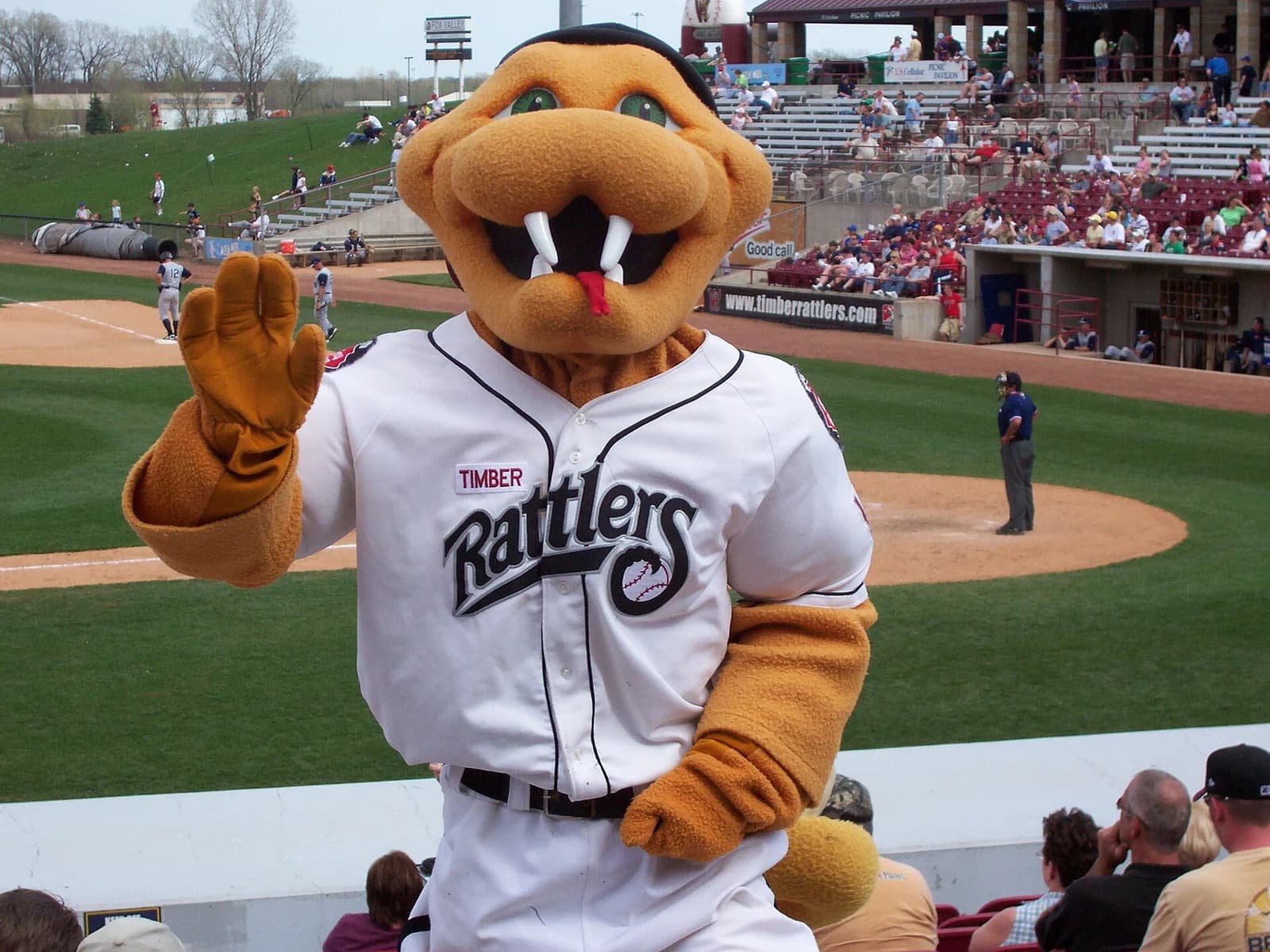 Wisconsin Timber Rattlers
