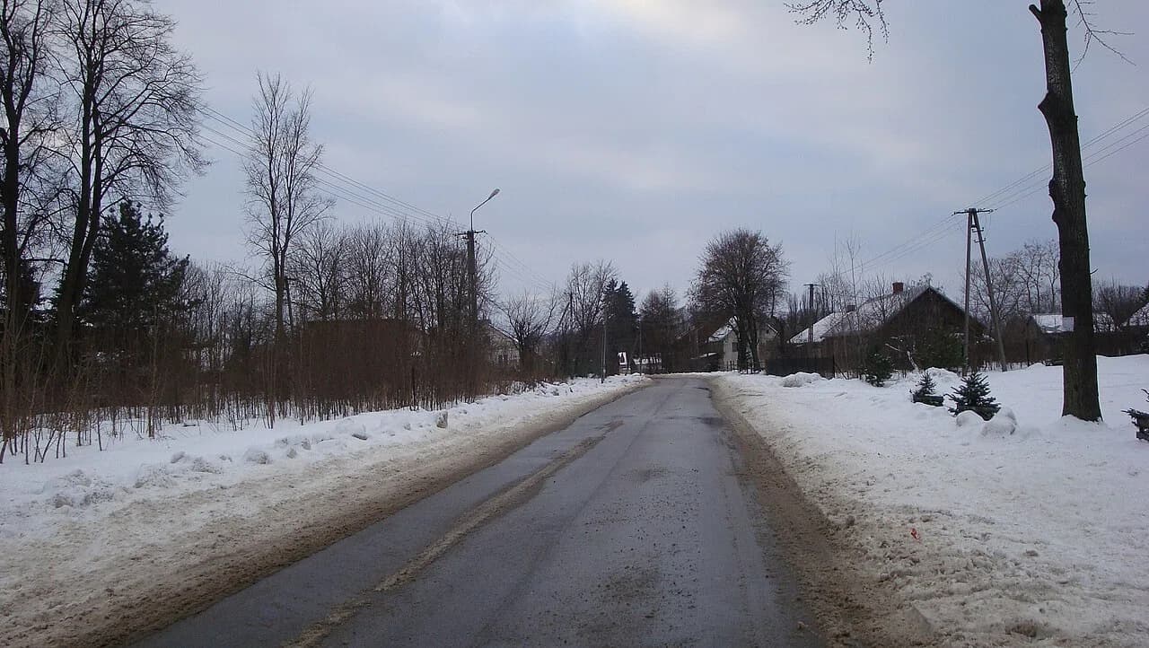 Wiśniew