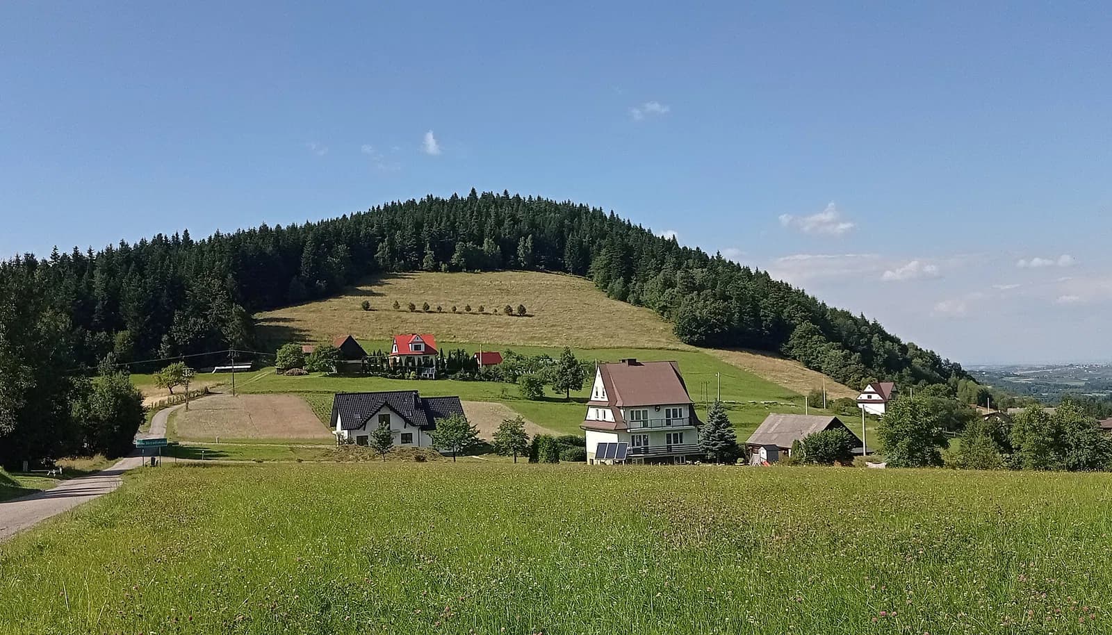 Wola Skrzydlańska