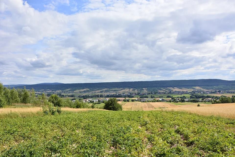 Wzdół Rządowy