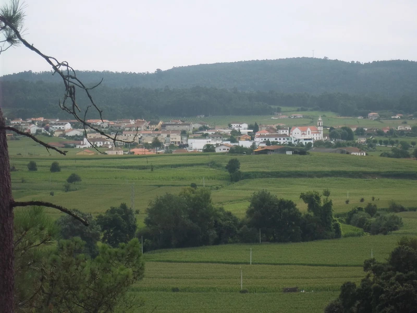 Balasar