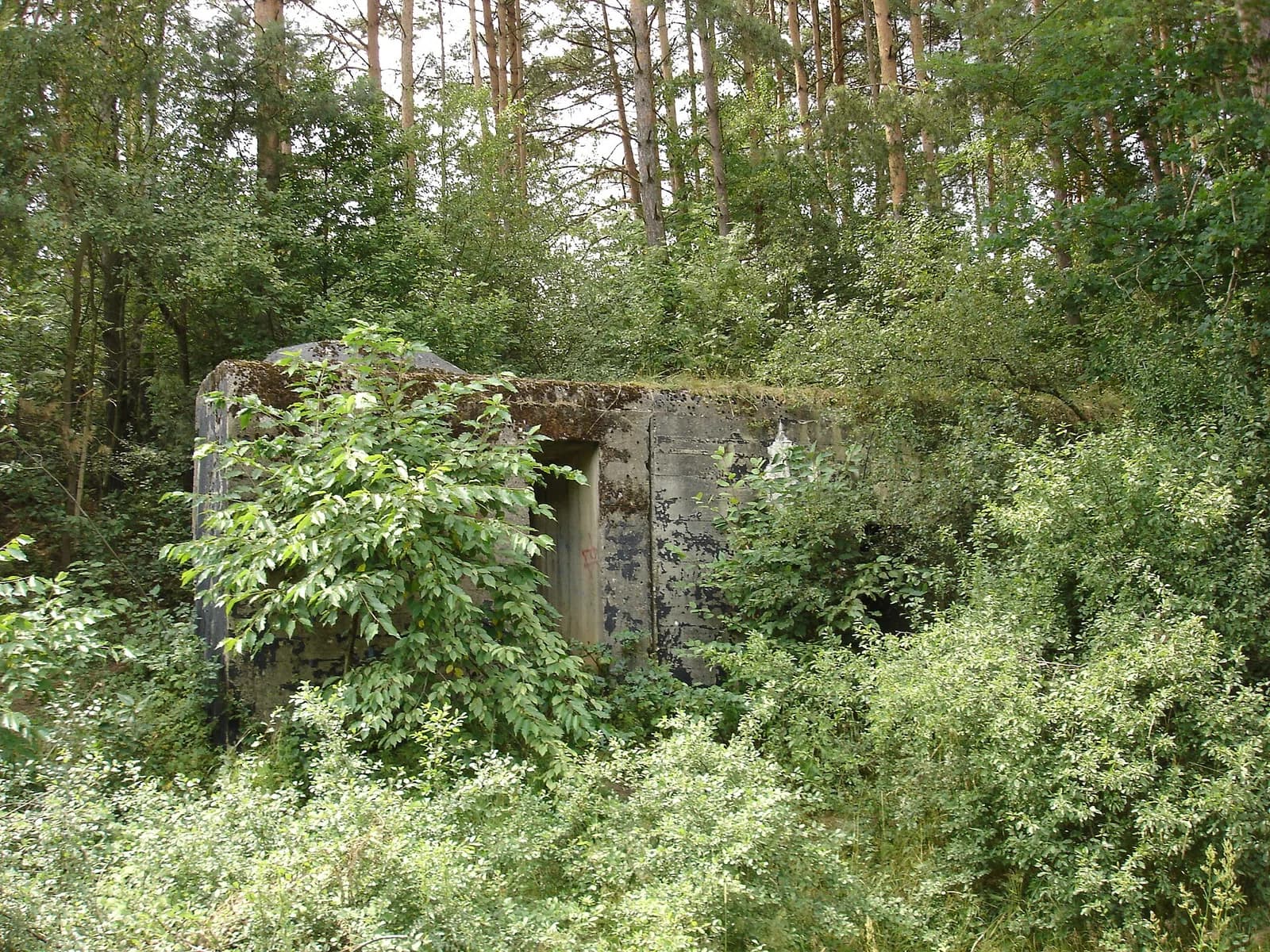 Zakościele