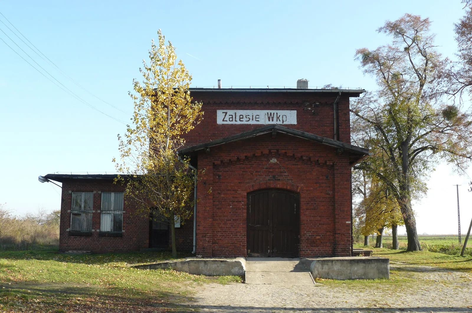 Zalesie