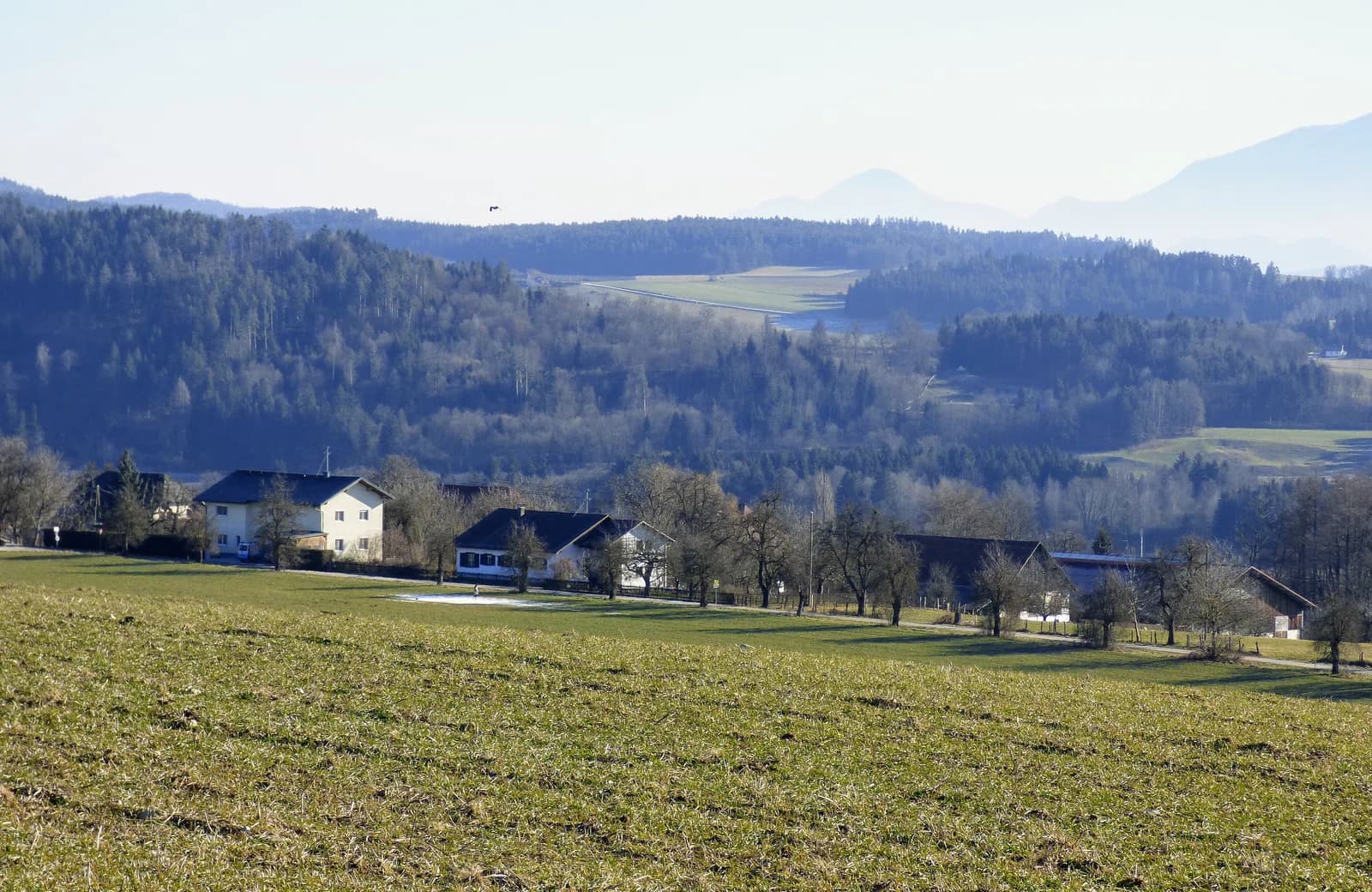 Gersdorf
