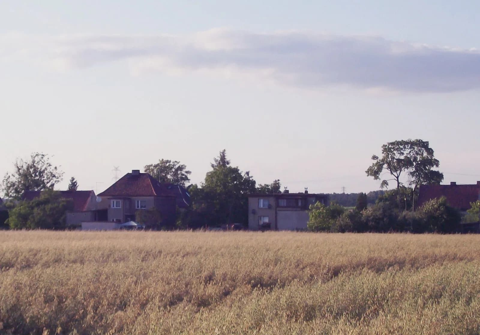 Ziemientzitz