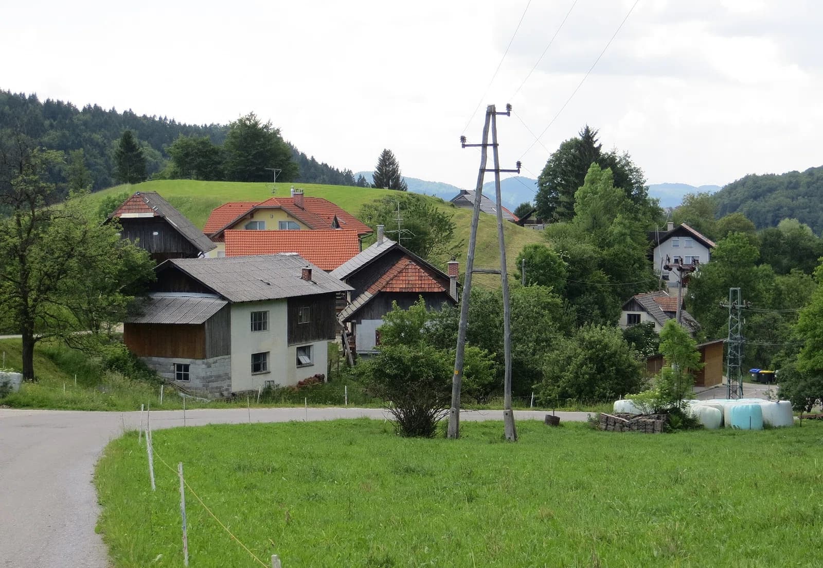 Češnjice v Tuhinju