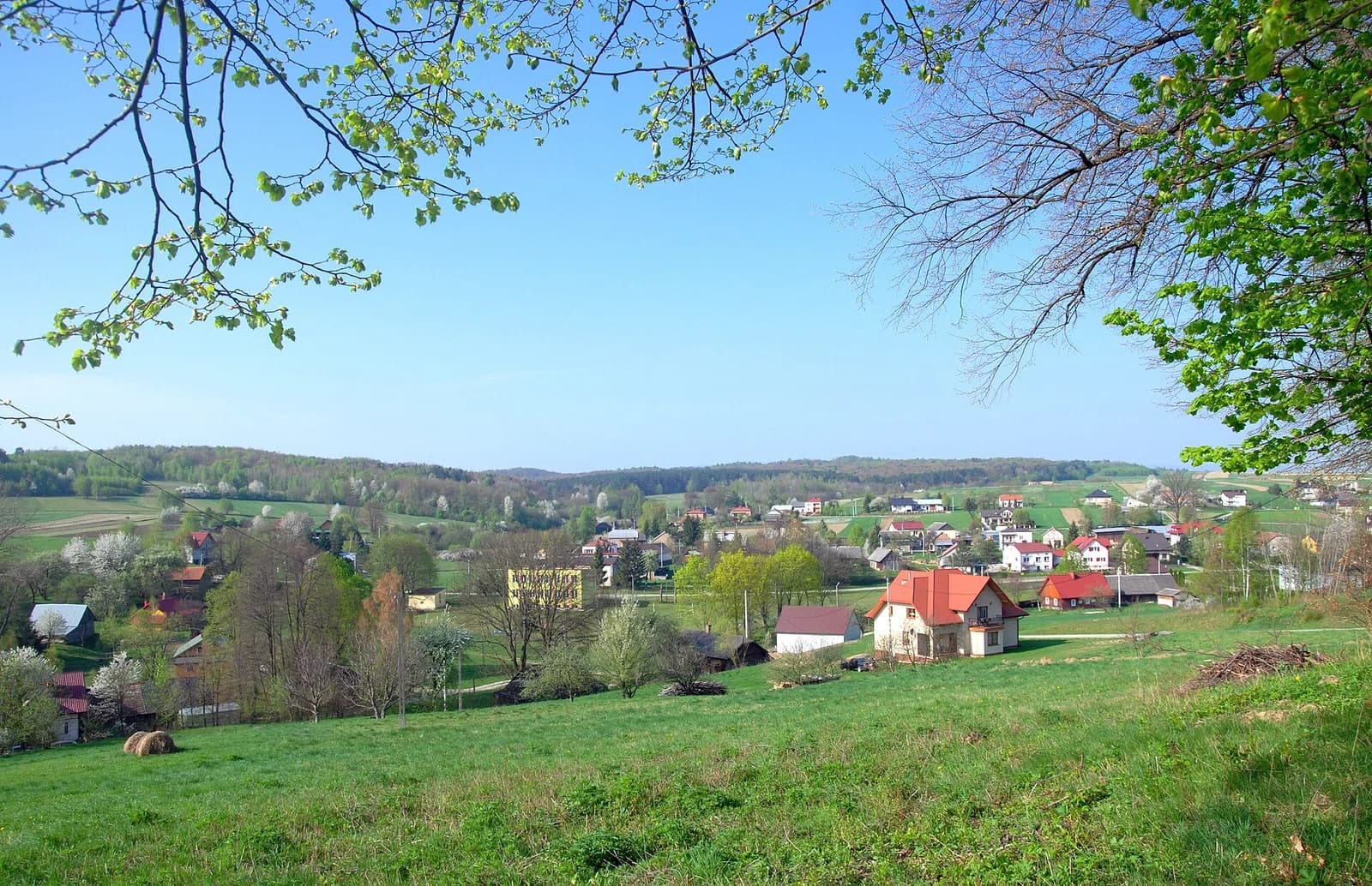 Łubienko
