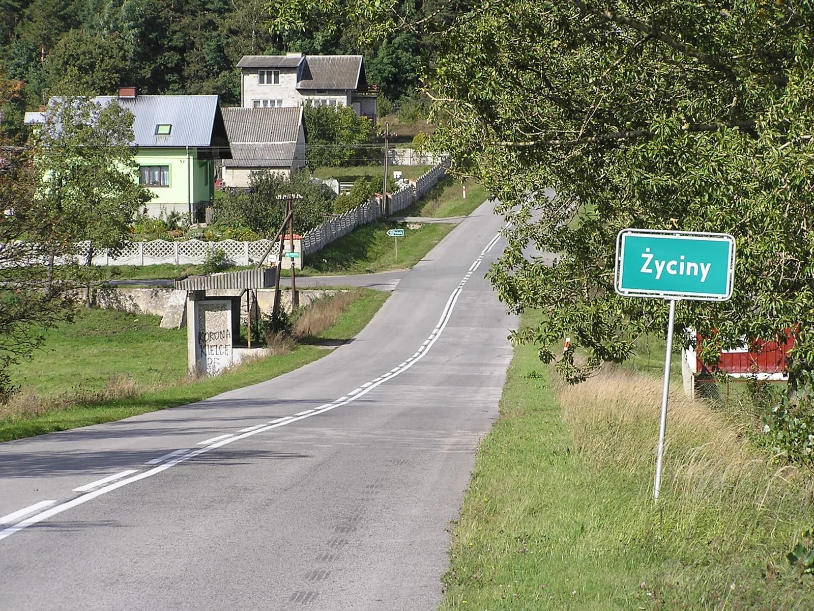 Życiny