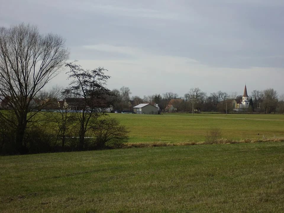 Wald