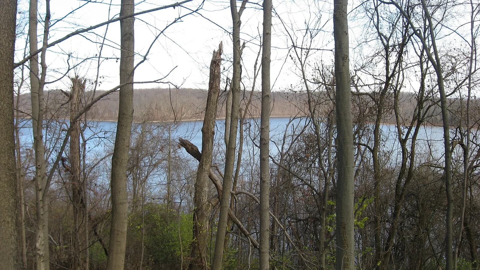 Batavia Township