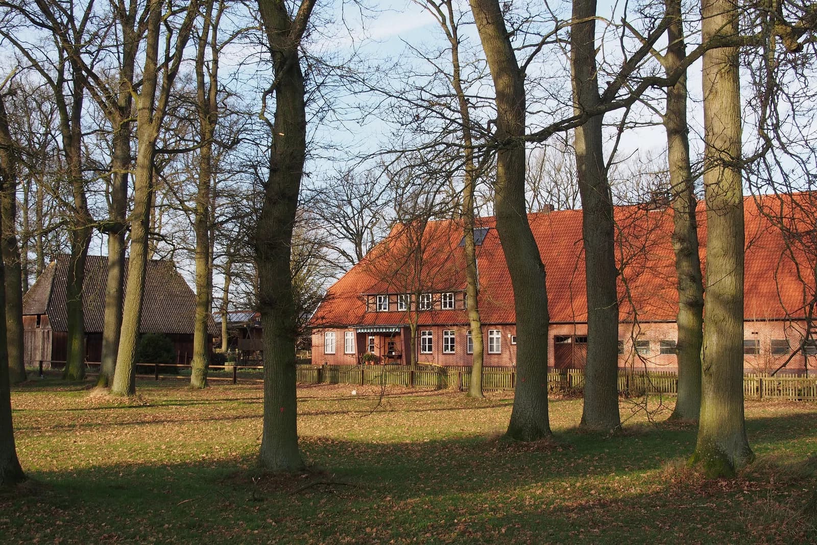 Baven