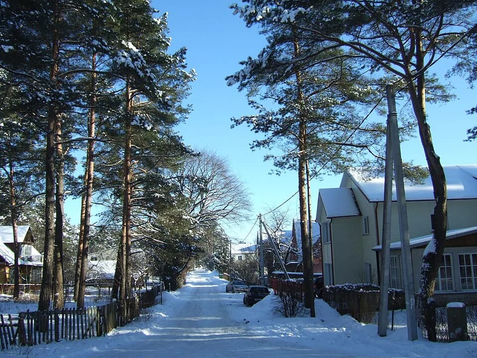 Juodšiliai