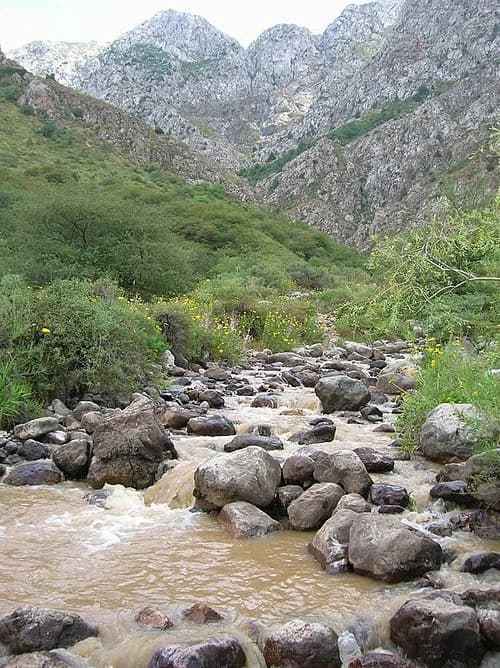 Turkistan Region