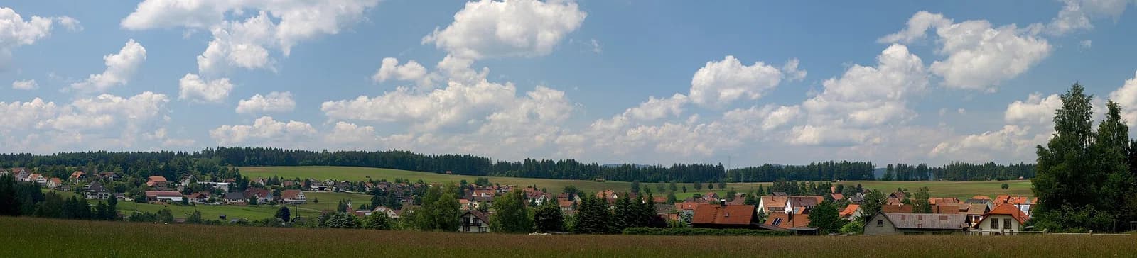 Seewald
