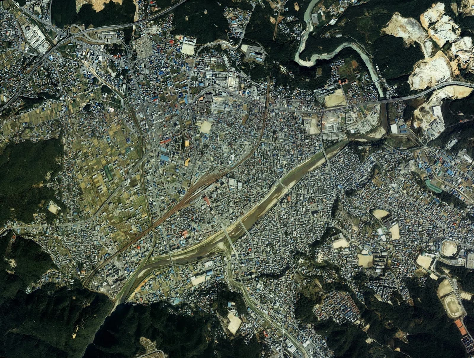 Tajimi