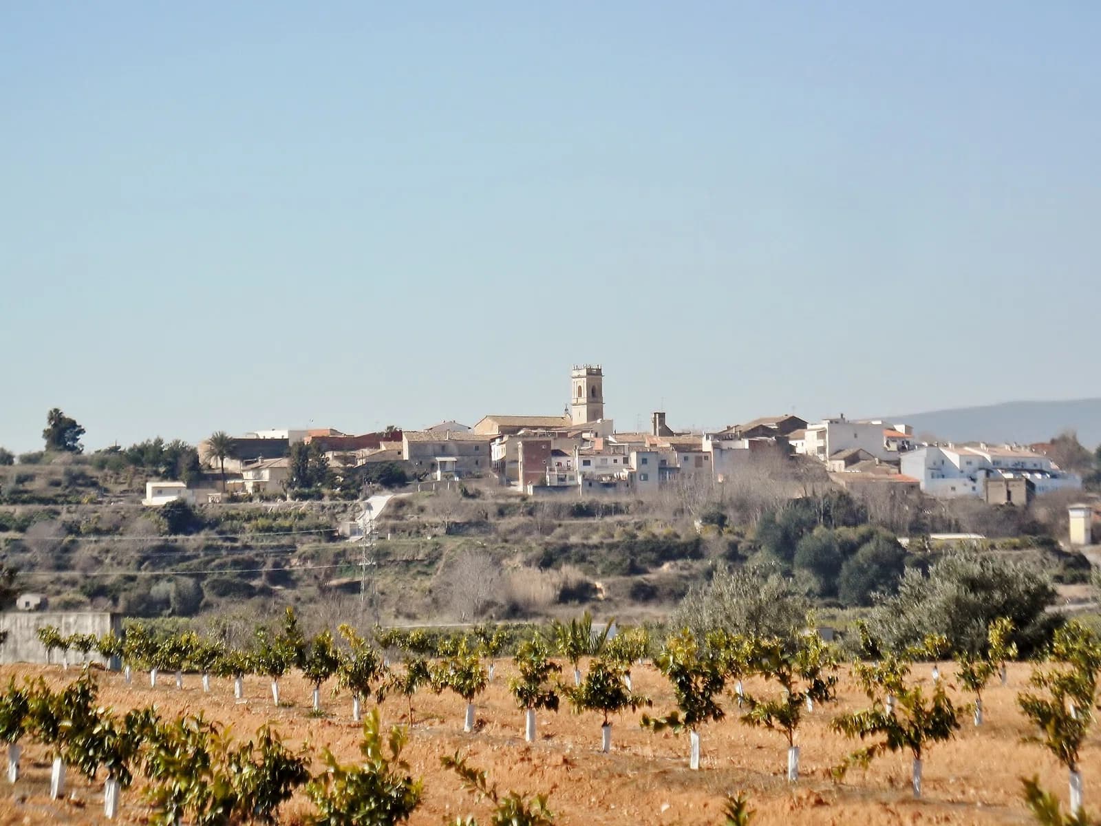 Aiacor