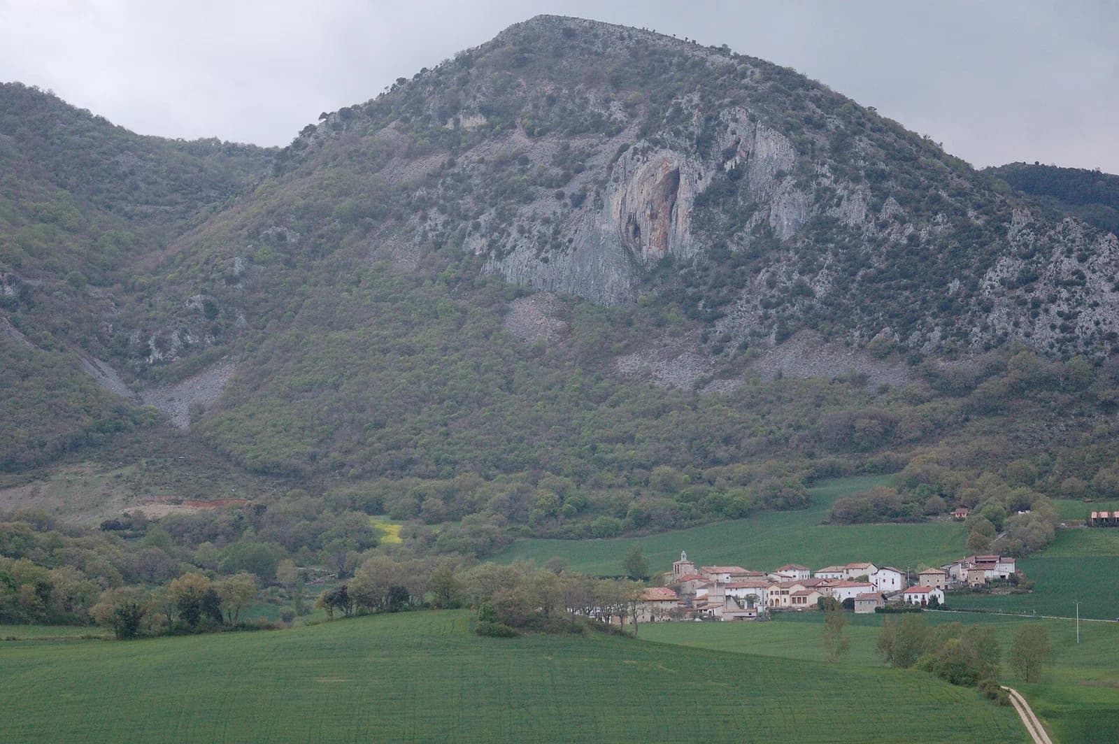 Azanza
