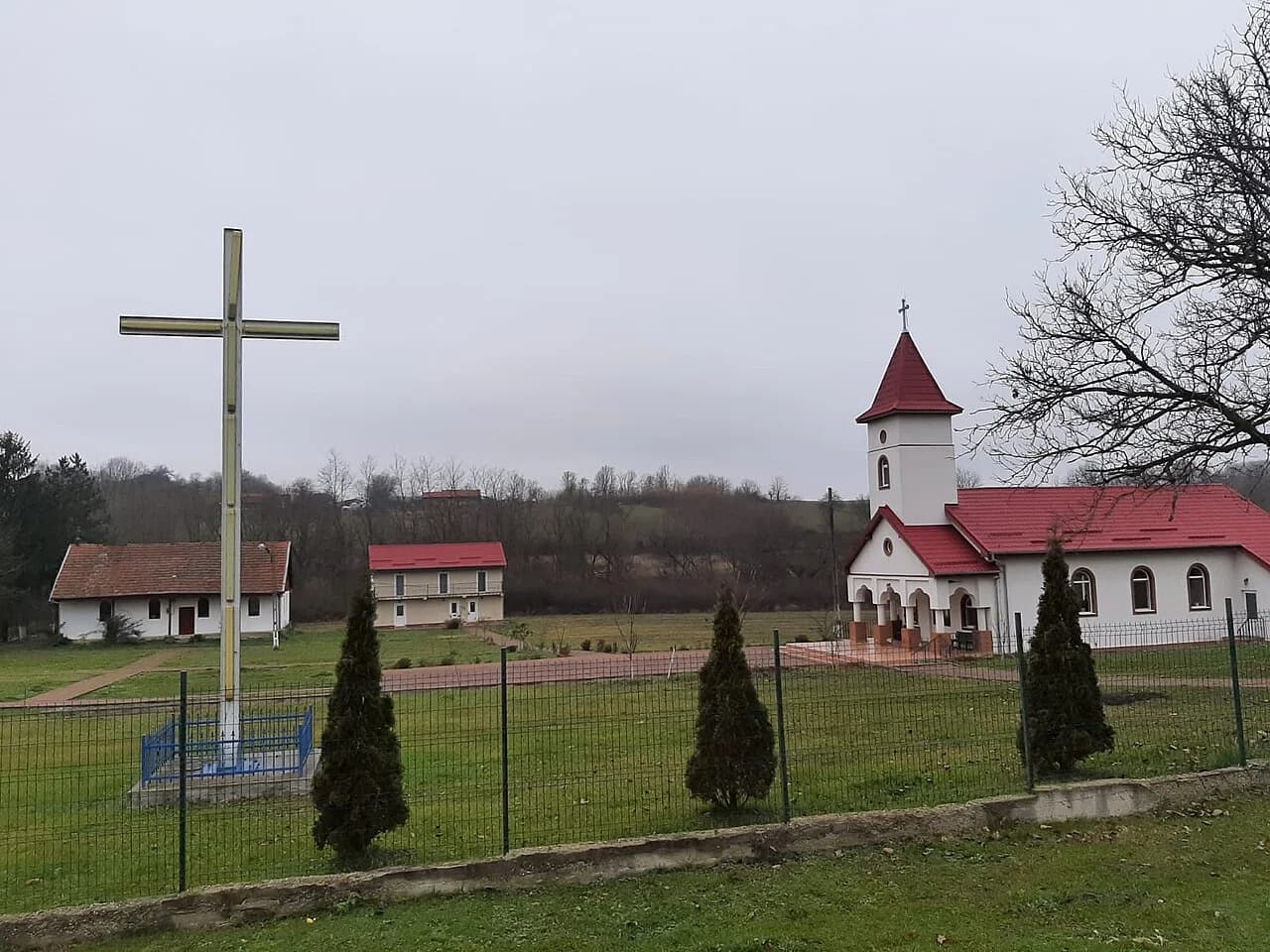 Scăiuș