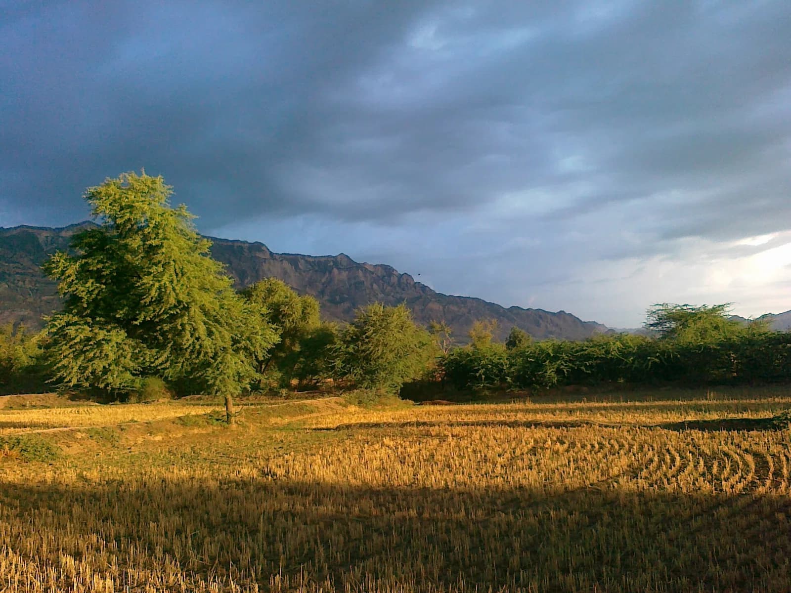 Isakhel