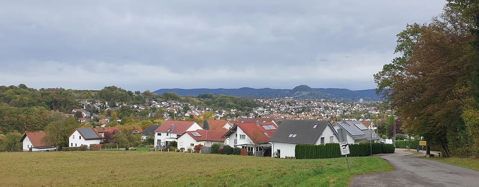 Wannweil