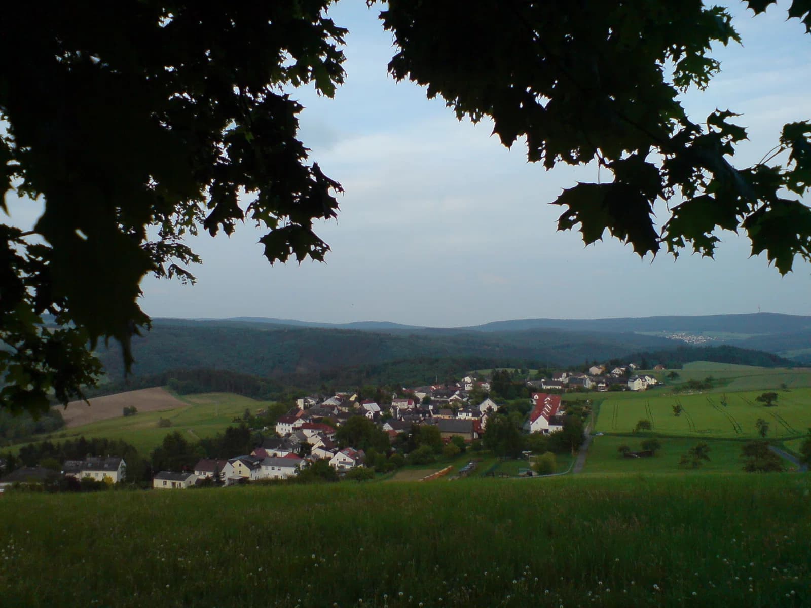 Lindschied