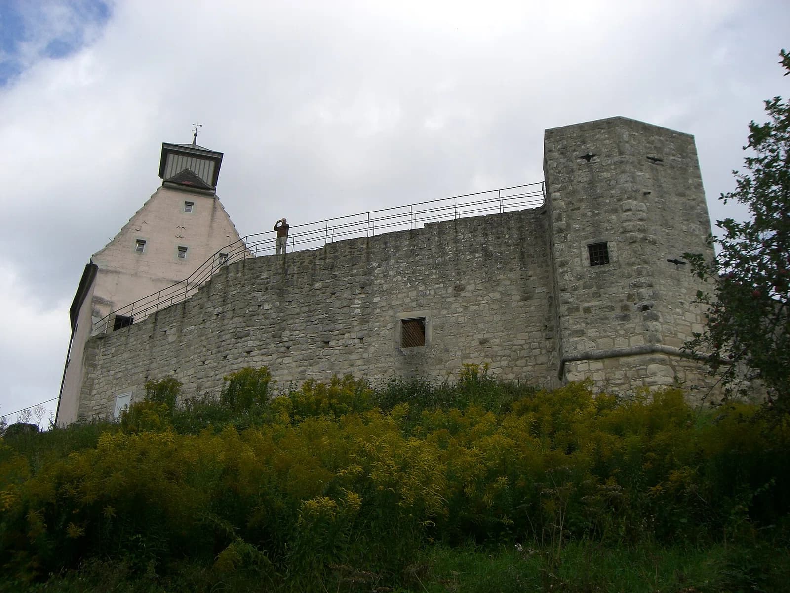 Auenwald