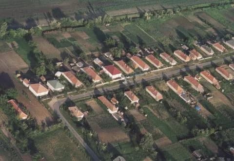 Bodroghalom