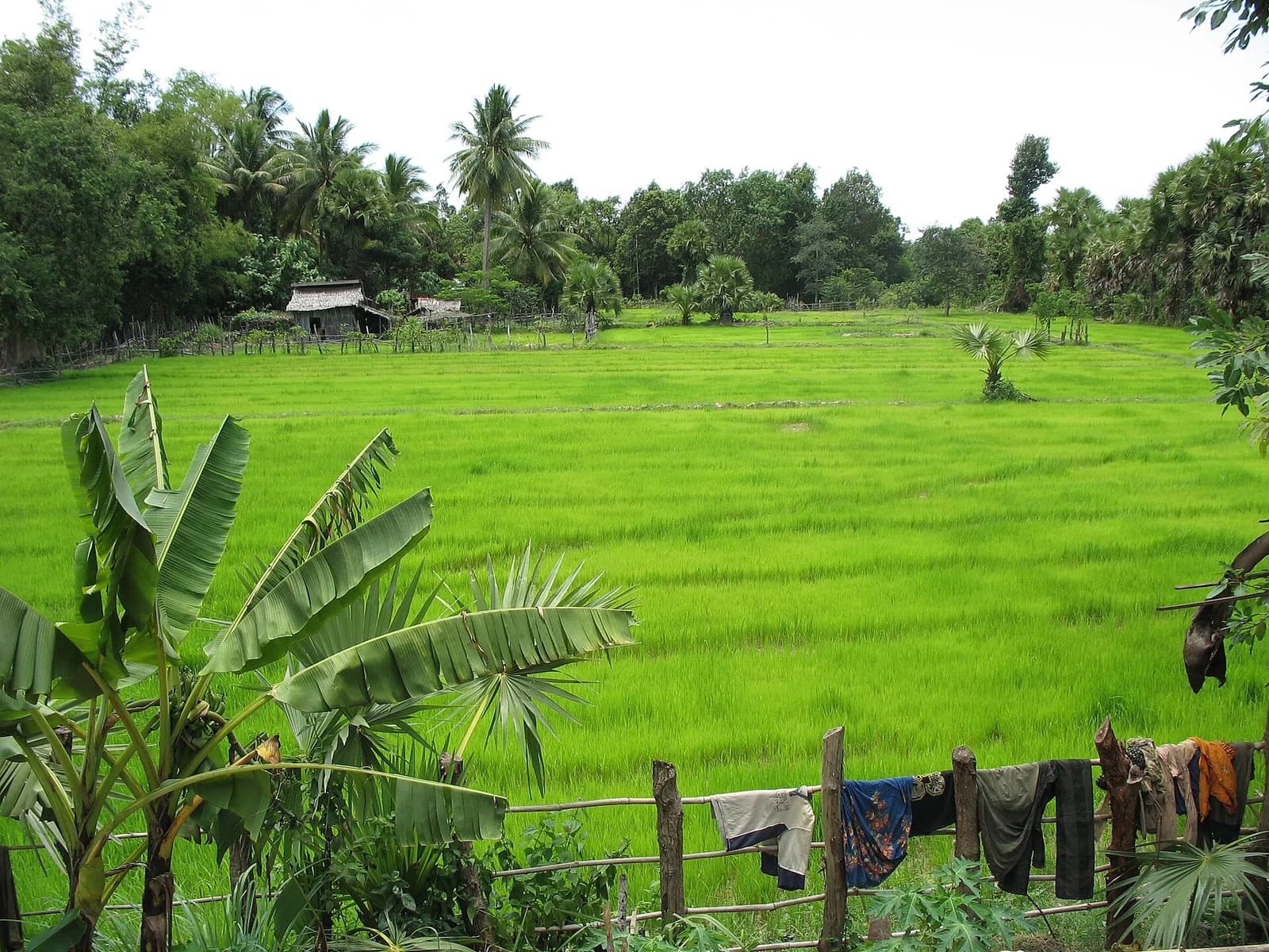 Pursat Province