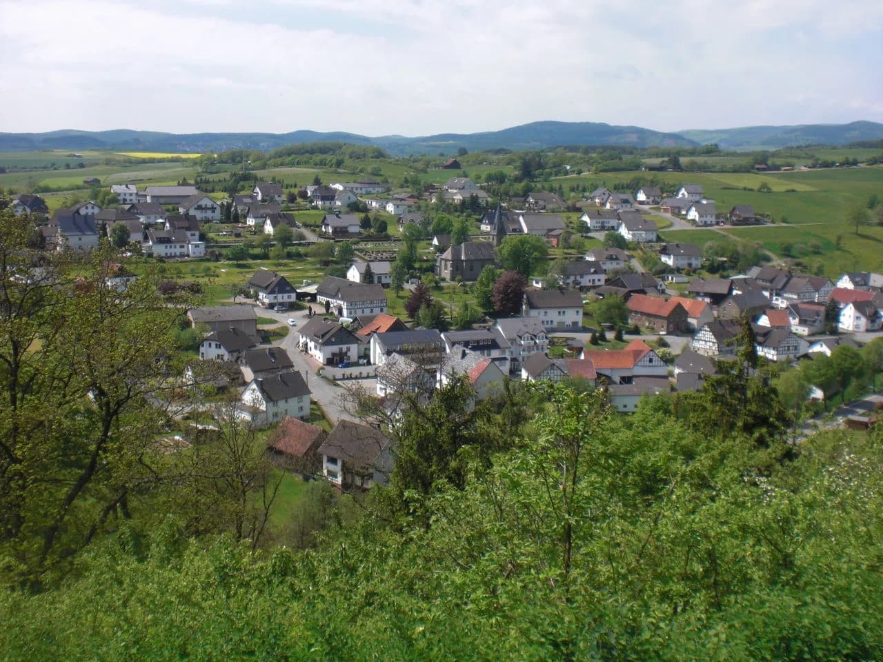Braunshausen
