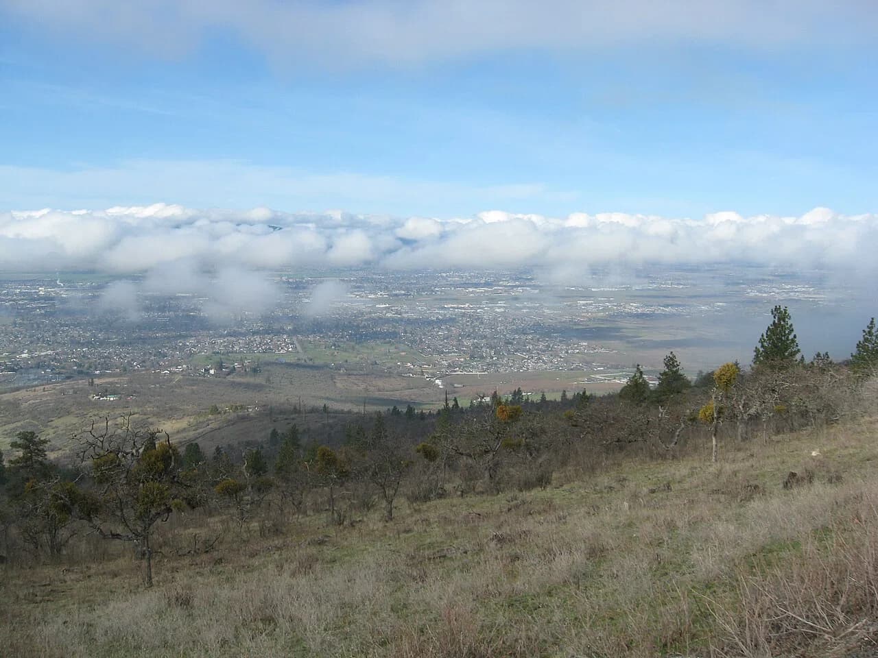 Medford