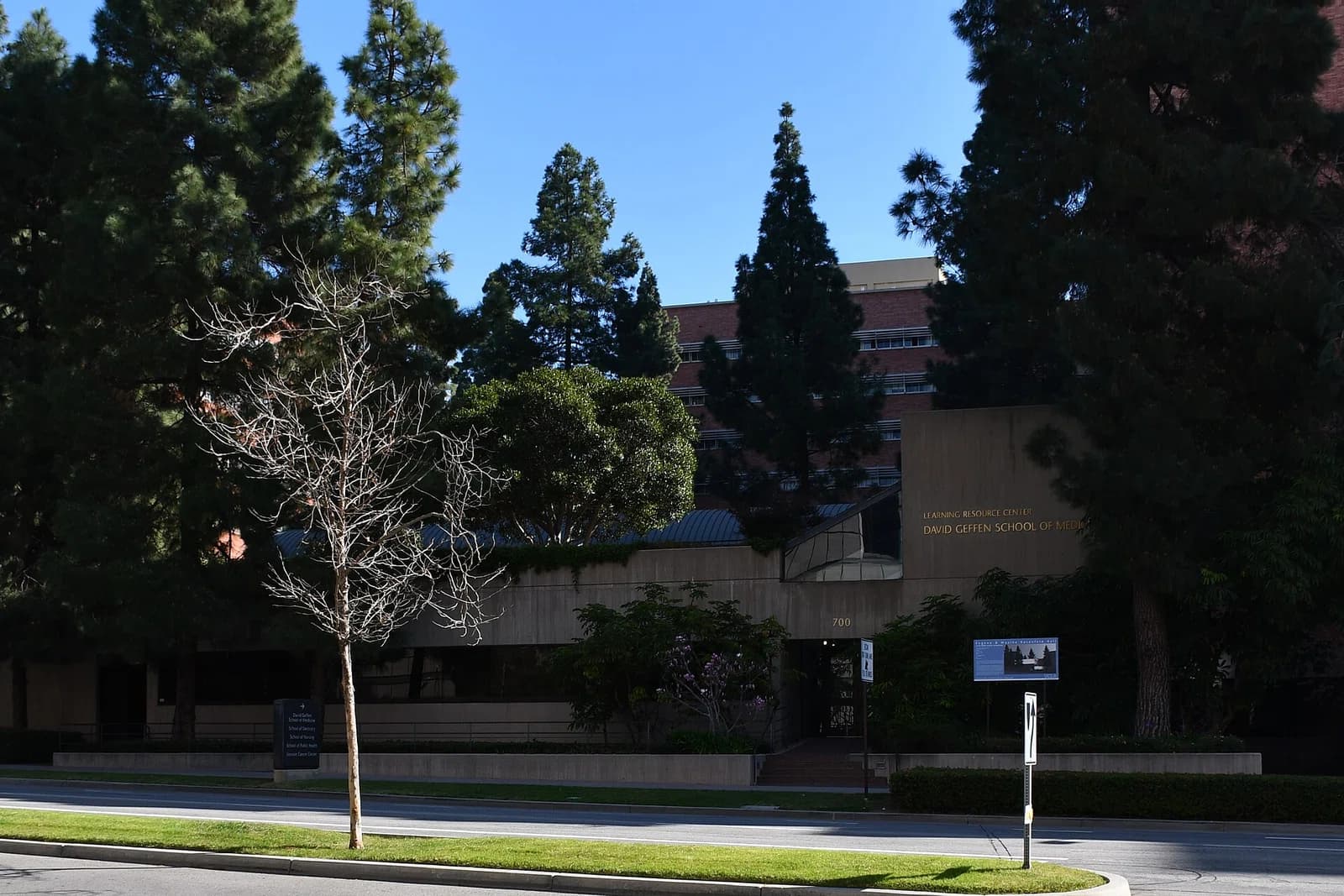 UCLA David Geffen School of Medicine