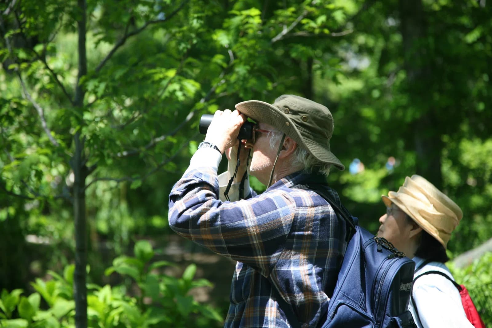bird watcher