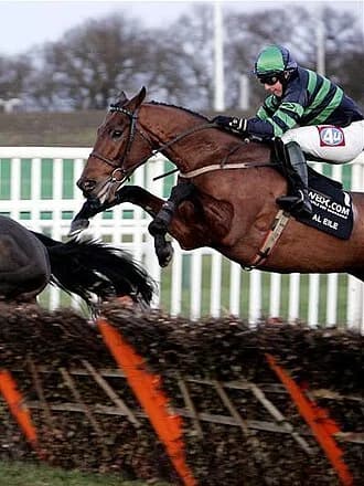 jockey