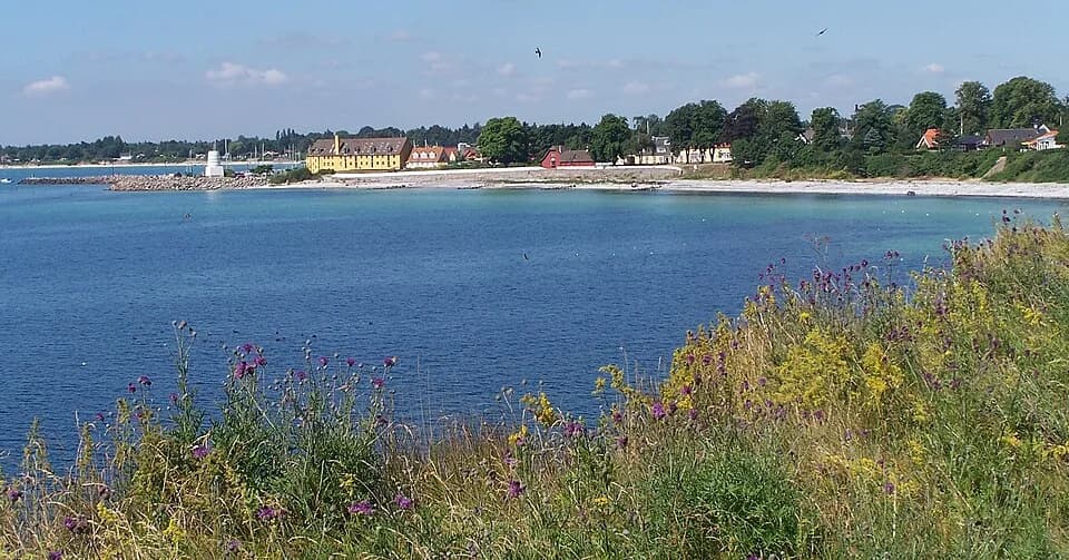 Rødvig